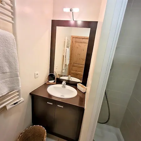 - 6 Pers, 2 Chambres, Espace Bien-etre, Parking Et Wifi - Fr-1-598-181 Apartment Les Gets